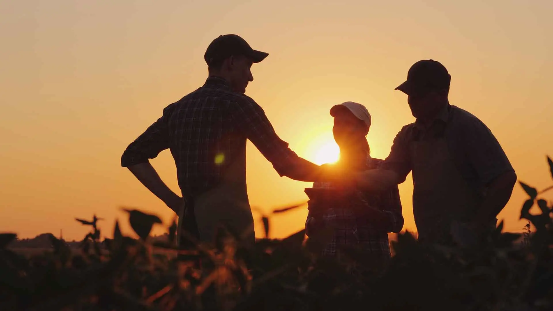 Agribroker Ankauf Informationen